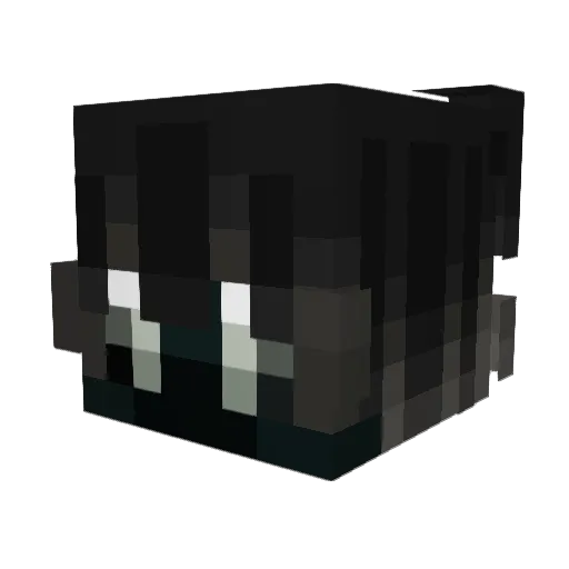 Samusmc Minecraft avatar head, 3D render
