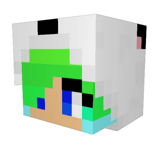 Samvsham Minecraft avatar head, 3D render