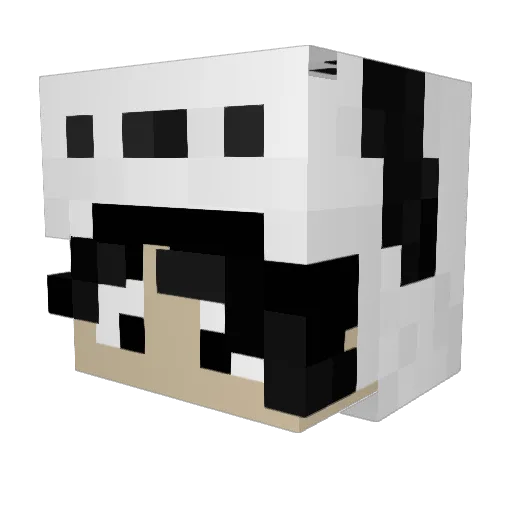 Samwing24 Minecraft avatar head, 3D render