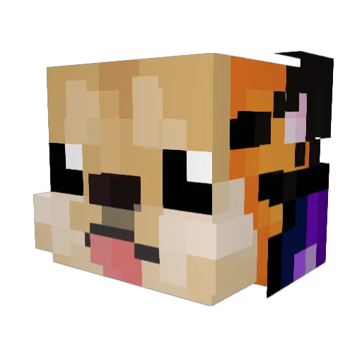 Samwise_Gamgee32 Minecraft avatar head, 3D render