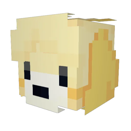 SamyMoran Minecraft avatar head, 3D render