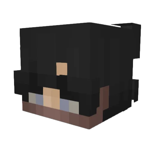 SamzShad Minecraft avatar head, 3D render