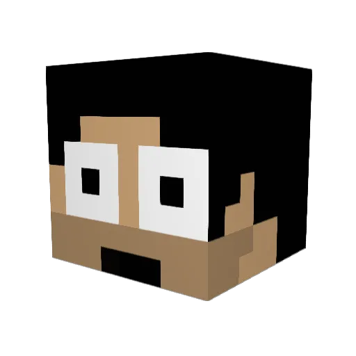 Samzinho1 Minecraft avatar head, 3D render