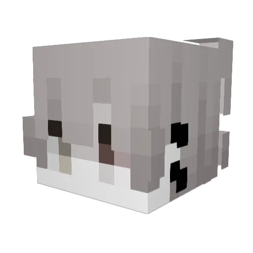 SamzitoVasc Minecraft avatar head, 3D render