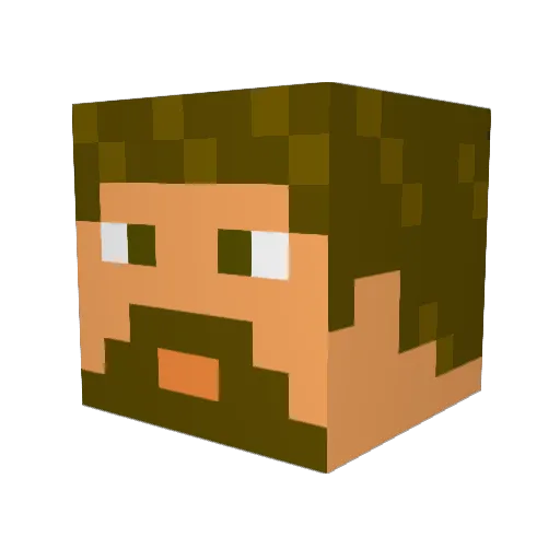 San4ows55 Minecraft avatar head, 3D render