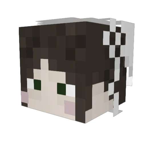 SanaChikaro Minecraft avatar head, 3D render