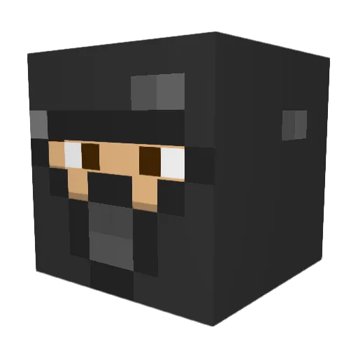 Sanalsystem Minecraft avatar head, 3D render