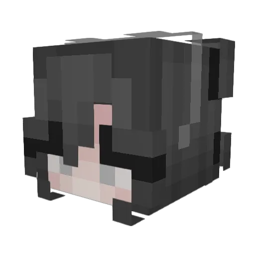 Sanamabix Minecraft avatar head, 3D render