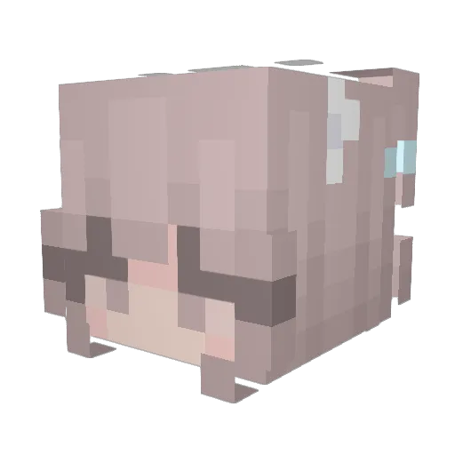 Sanatras Minecraft avatar head, 3D render