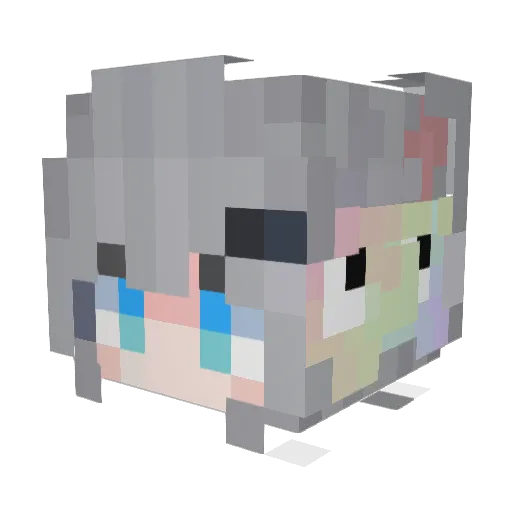SanceZhang1145 Minecraft avatar head, 3D render