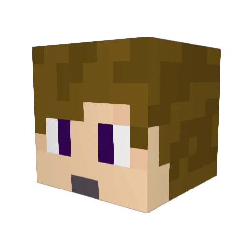 Sancez_VIP Minecraft avatar head, 3D render
