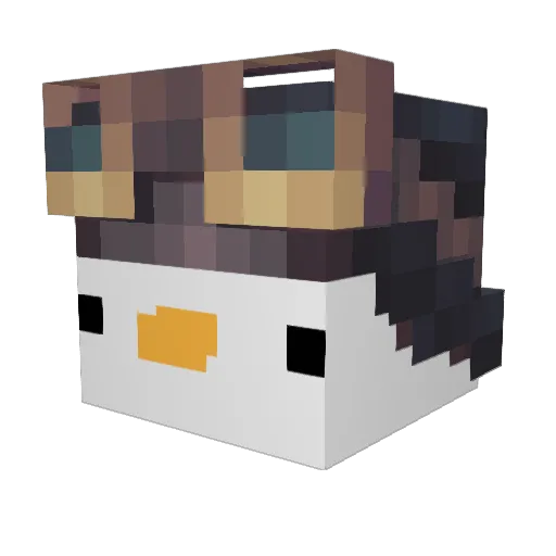 SanctuaryDragon Minecraft avatar head, 3D render