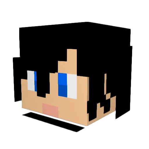 SandDragon358 Minecraft avatar head, 3D render