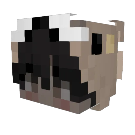 SandWichBoy00 Minecraft avatar head, 3D render