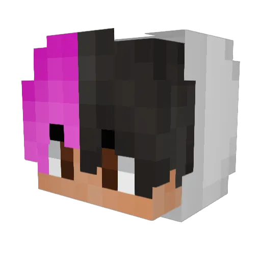 Sand_Puppy Minecraft avatar head, 3D render