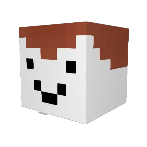 Sandacz_ Minecraft avatar head, 3D render