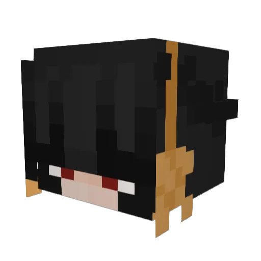 SandbagTurtle Minecraft avatar head, 3D render