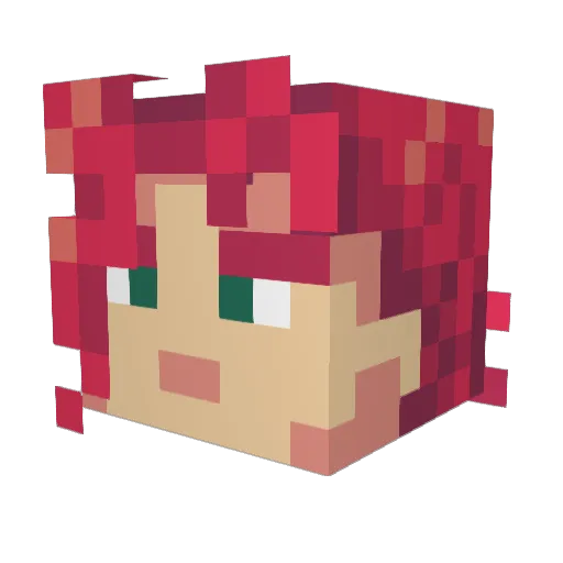 Sander43 Minecraft avatar head, 3D render