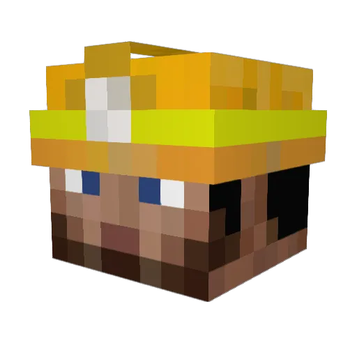 Sander56 Minecraft avatar head, 3D render