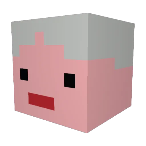 SanderSnor Minecraft avatar head, 3D render