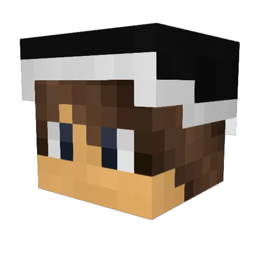 SanderTheRobber Minecraft avatar head, 3D render