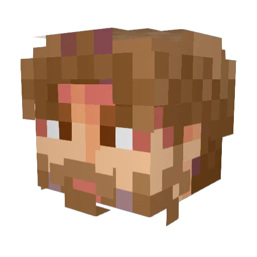 Sander_dm Minecraft avatar head, 3D render