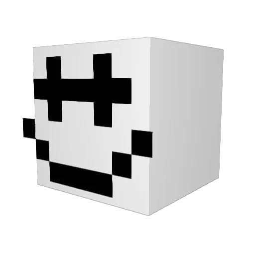 Sanderfug98 Minecraft avatar head, 3D render