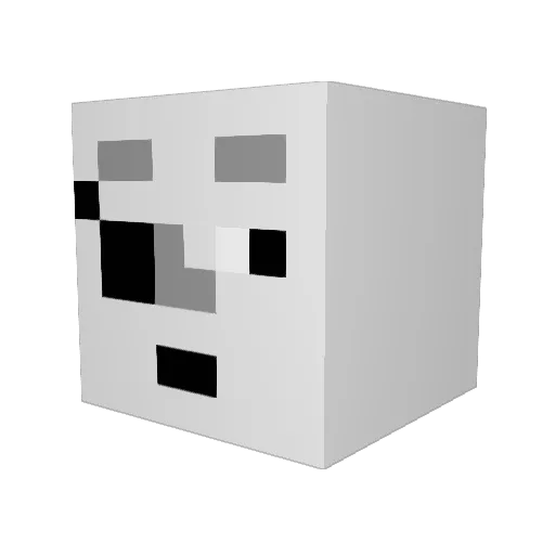 SandersonTR Minecraft avatar head, 3D render