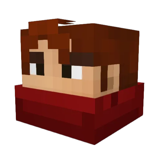 Sandervicious Minecraft avatar head, 3D render