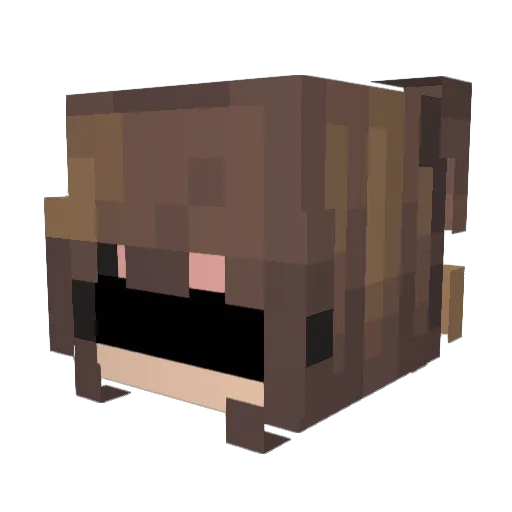 Sandie1 Minecraft avatar head, 3D render