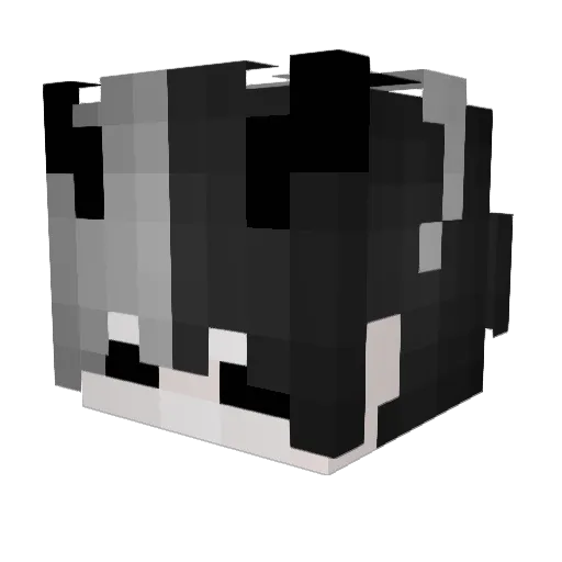 Sandlyness Minecraft avatar head, 3D render
