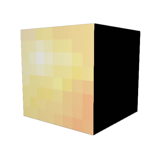 Sandnetix Minecraft avatar head, 3D render