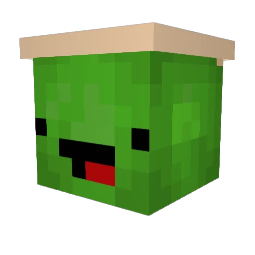Sandpit_Turtle Minecraft avatar head, 3D render