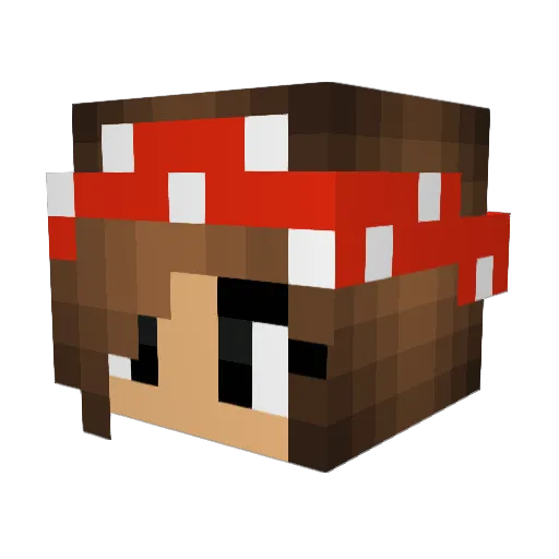 Sandra_13 Minecraft avatar head, 3D render