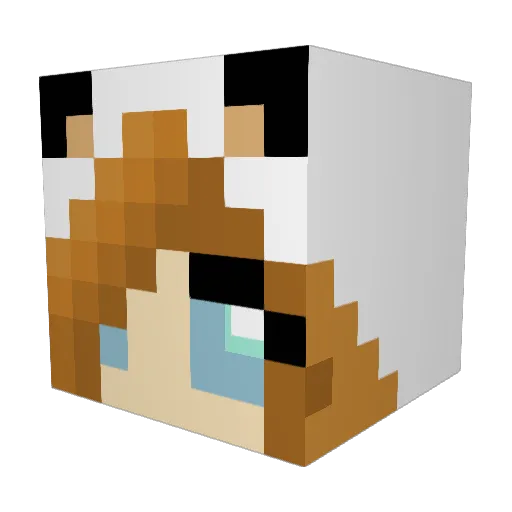 Sandra_2000 Minecraft avatar head, 3D render