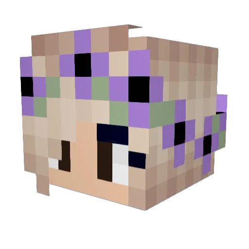 Sandraga Minecraft avatar head, 3D render