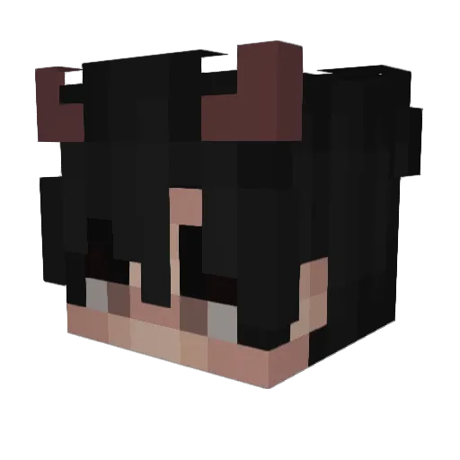 Sandrawer Minecraft avatar head, 3D render