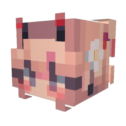 Sandrinasis Minecraft avatar head, 3D render
