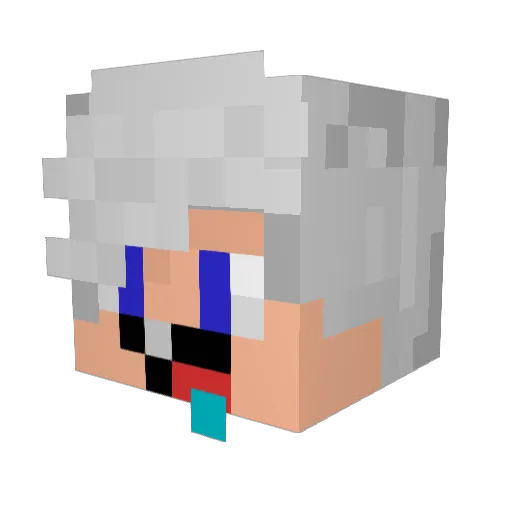SandroJeimes Minecraft avatar head, 3D render