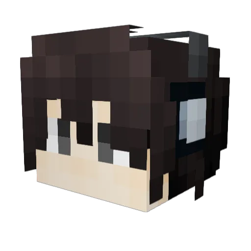 Sandro_MC Minecraft avatar head, 3D render