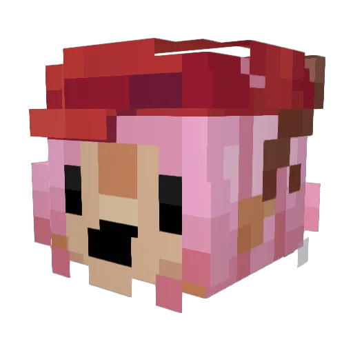 Sandrojff Minecraft avatar head, 3D render