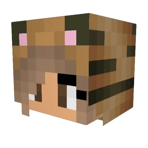 Sandsturm_ Minecraft avatar head, 3D render