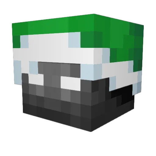 SanduBalastiera Minecraft avatar head, 3D render