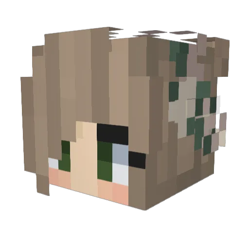 SanduKim Minecraft avatar head, 3D render