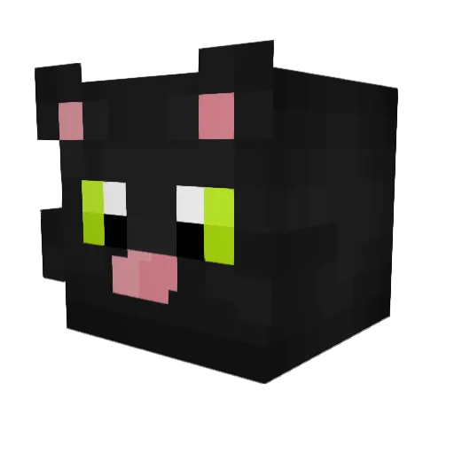 Sandwich223 Minecraft avatar head, 3D render