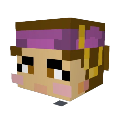 SandwichMasterxx Minecraft avatar head, 3D render