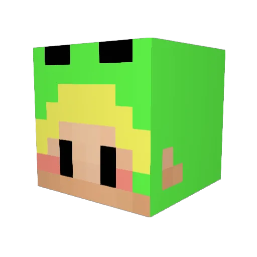 Sandwichbuger Minecraft avatar head, 3D render