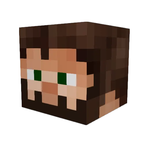 Sandwichkid2 Minecraft avatar head, 3D render