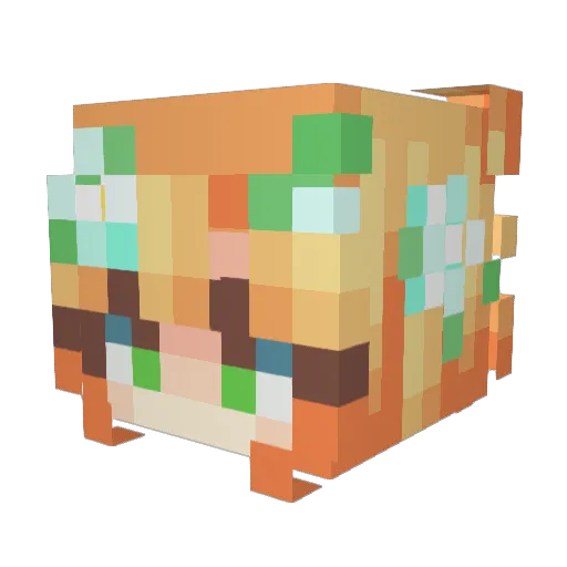 SandyGirl1009 Minecraft avatar head, 3D render
