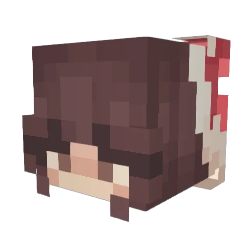 SandyyCheeks12 Minecraft avatar head, 3D render